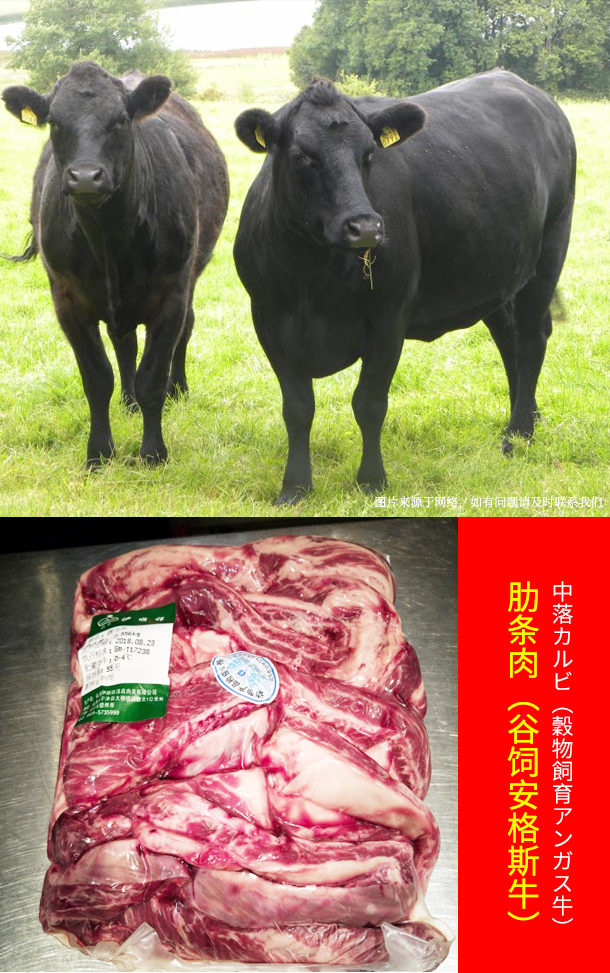 谷饲安格斯牛肋条肉